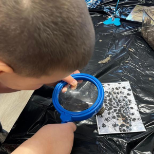 ogledna_aktivnost00005