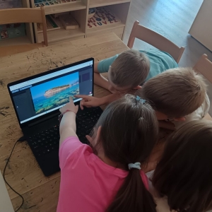 zavrsni_videopoziv0003